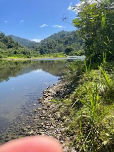 Papaya Wildlife Lodge