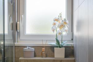 Apartments for families with children Trogir - 23859