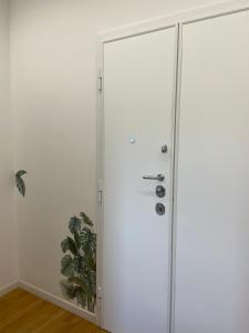 Apartment in the heart of Rome