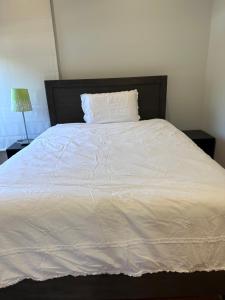 A luxury home in Oakleigh