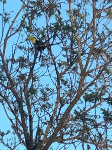 Casa Rustica Monteverde