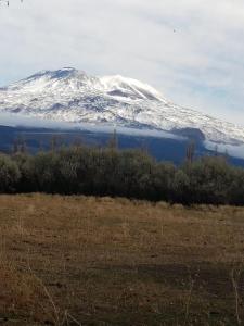 Cabaña La 40 "Relax y descanso en zona de chacras"