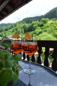 Gästehaus Achenwinkel Ferienwohnung