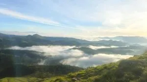 Nature home stay - Kanjirapalli