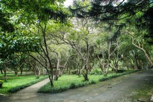 VResort Kim Boi - Hoa Binh