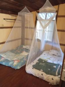 Pai style river house