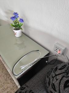 LittleBee Homestay KT