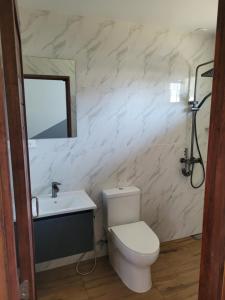 Mister check paradise