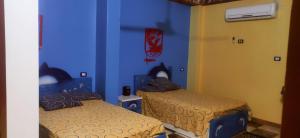 Tamir goust house
