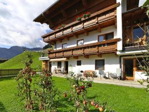 Apartment in Hippach im Zillertal with a view