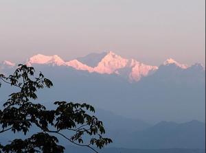 Mountain Paradise Homestay By StayApart