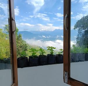 Mountain Paradise Homestay By StayApart