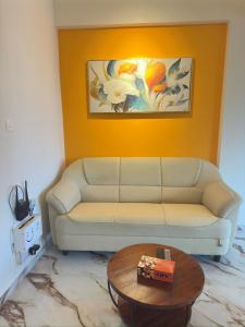Abode 3-2 bhk attic private terrace Siolim Marna