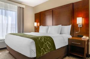 King Suite with Whirlpool - Non-Smoking room in Comfort Suites Helena Airport