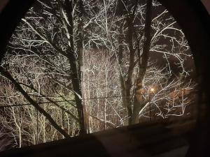 Maisons de vacances La Corniche, Villa d-architecte avec piscine, 2mn mer a Houlgate : photos des chambres