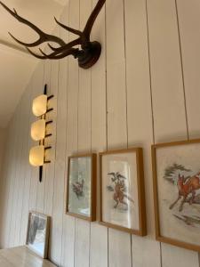 Lodges Clairseine : photos des chambres