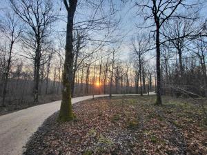 Chalets Cabanes en Loire, Gite & SPA en pleine nature : photos des chambres