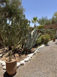 Villa Hania 4 chambres avec piscine