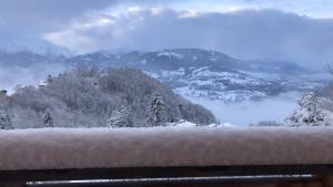 Chalets Le Mazot de la Marmotte : photos des chambres