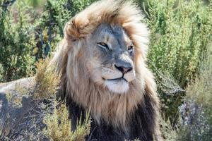 Mont Eco Game Reserve
