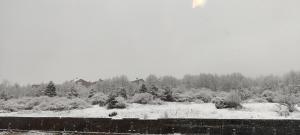 Downtown Resort Bansko- Eliko Suite