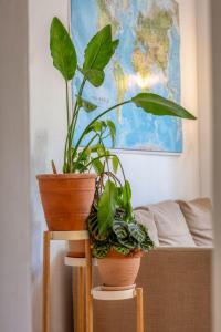 Appartements Le passage du renard pour 6 personnes avec parking : photos des chambres