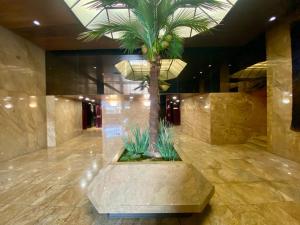 Studio Kennedy Passy Tour Eiffel