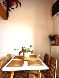 Bord de mer, superbe studio tout confort