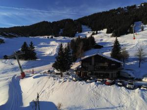 Appart'hotels Le Chalet de Bisanne : photos des chambres