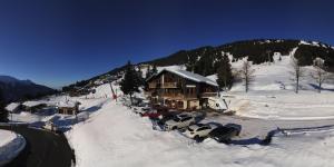 Appart'hotels Le Chalet de Bisanne : Appartement avec Vue sur la Montagne