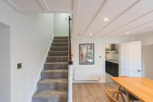 Two Trees, by Birch Stays