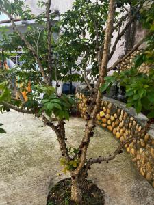 Casa dos fundos em condomínio