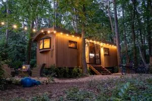 Pipowagen de Pauw in de bossen van Belgisch Limburg nabij Maastricht - Lanakerheide