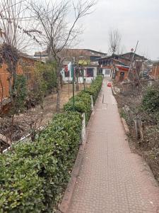 Hotel New Green View a part