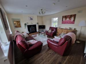 Silvis Guest House B & B Borris Carlow