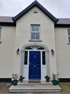 Silvis Guest House B & B Borris Carlow