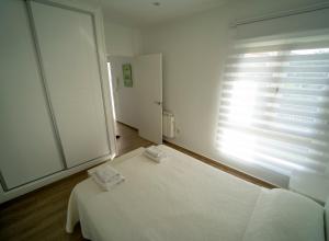 Apartamento San Miguel Nº1