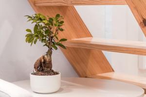 GuestReady - Easygoing Pool to River