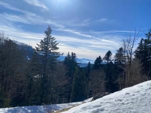 Très élégant duplex, proche Gare