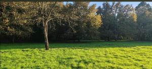 Aux sources de lesquire maison 5 chambres 5 salles de bains , 11 personnes