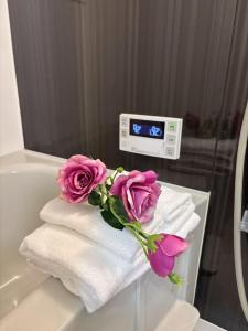 japan house ヴィラ貸切東向島駅5分スカイツリー近く三号館