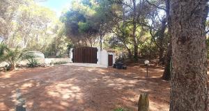 Porto Pineto villa indipendente 100 mt dal mare IUNP7395