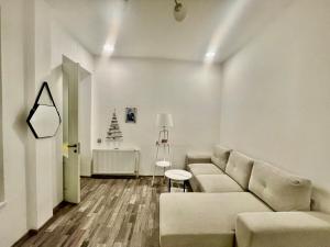 Petriashvili 10 VERA