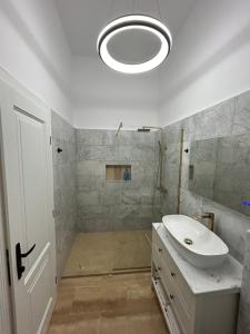 Central studio flat Cluj Napoca