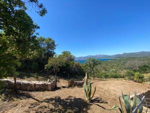 Villetta Capo Coda Cavallo img11