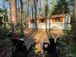 Pipowagen de Zwaan in Hoge Kempen nabij Maastricht - Lanakerheide