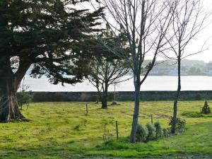 Maisons de vacances Manoir de Larmor : photos des chambres
