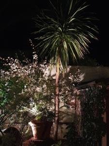 Maisons de vacances L-Heure Bleue by Tranquil at Home : photos des chambres