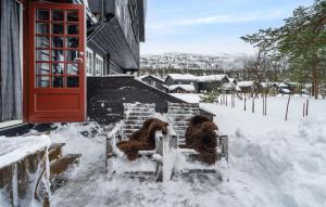 Amazing Apartment In Hovden I Setesdal