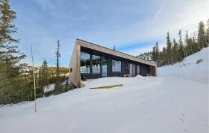 Awesome Home In Rjukan With Sauna - Rjukan